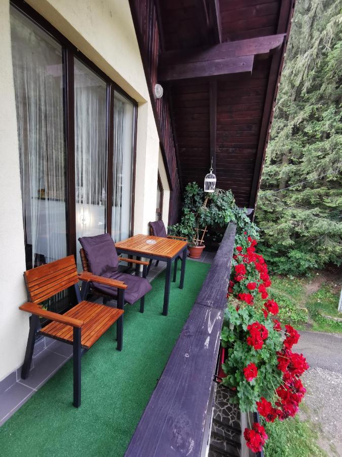 Apartament Kalinderu K1 Buşteni Exteriér fotografie