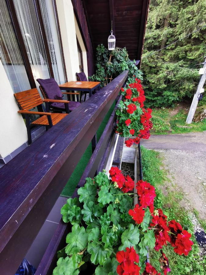 Apartament Kalinderu K1 Buşteni Exteriér fotografie