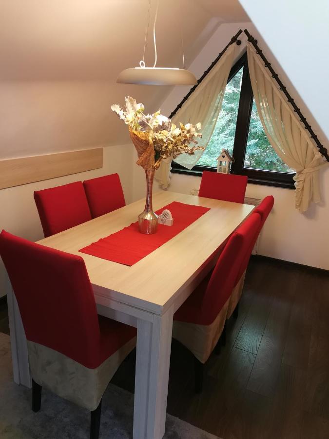 Apartament Kalinderu K1 Buşteni Exteriér fotografie