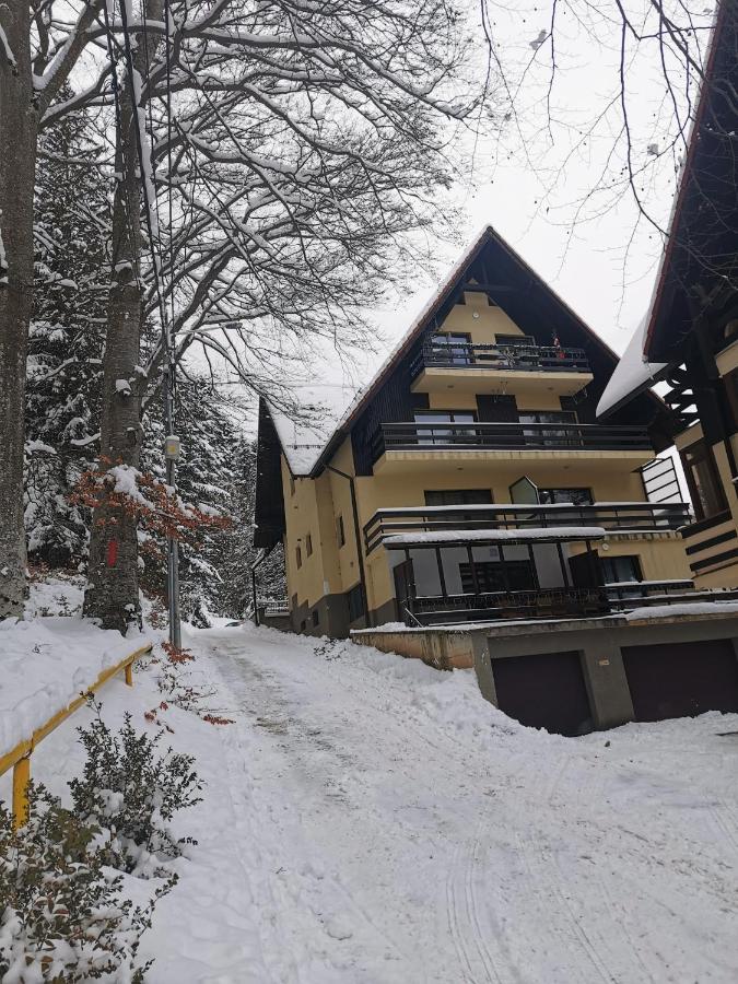 Apartament Kalinderu K1 Buşteni Exteriér fotografie