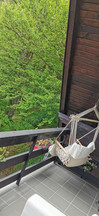 Apartament Kalinderu K1 Buşteni Exteriér fotografie